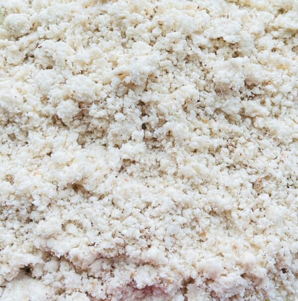 White Tapioca(വെള്ള കപ്പ വെറ്റ്)
